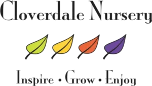Cloverdale Nursery